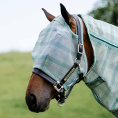 Fliegenhaube Newmarket No Ears Witney Dynasty Fliegenhaube Newmarket No Ears Witney Dynasty