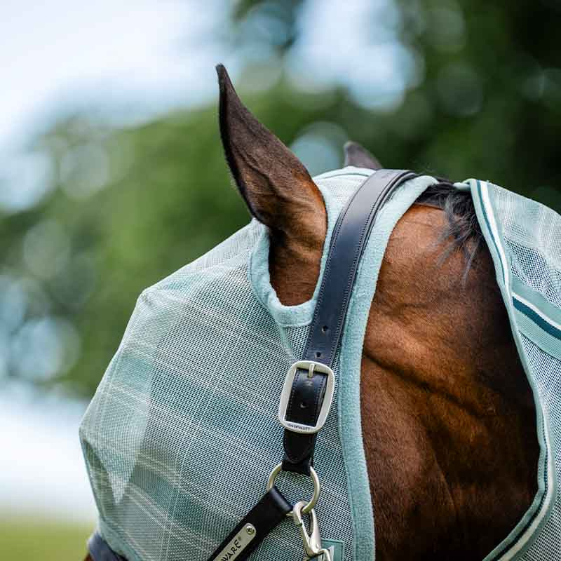 Fliegenhaube Newmarket No Ears Witney Dynasty