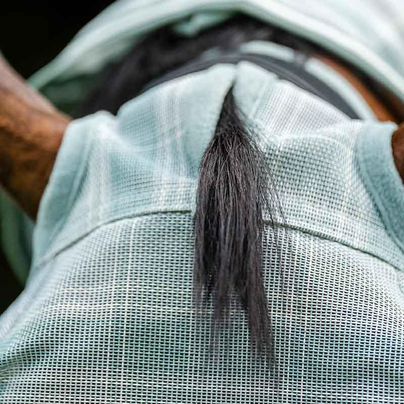 Fliegenhaube Newmarket No Ears Witney Dynasty