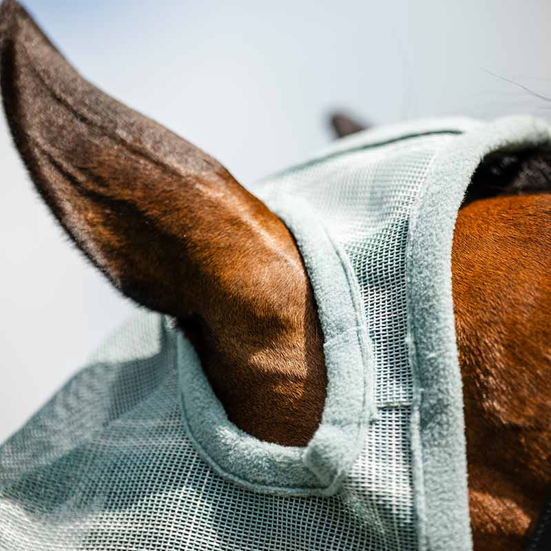 Fliegenhaube Newmarket No Ears Witney Dynasty