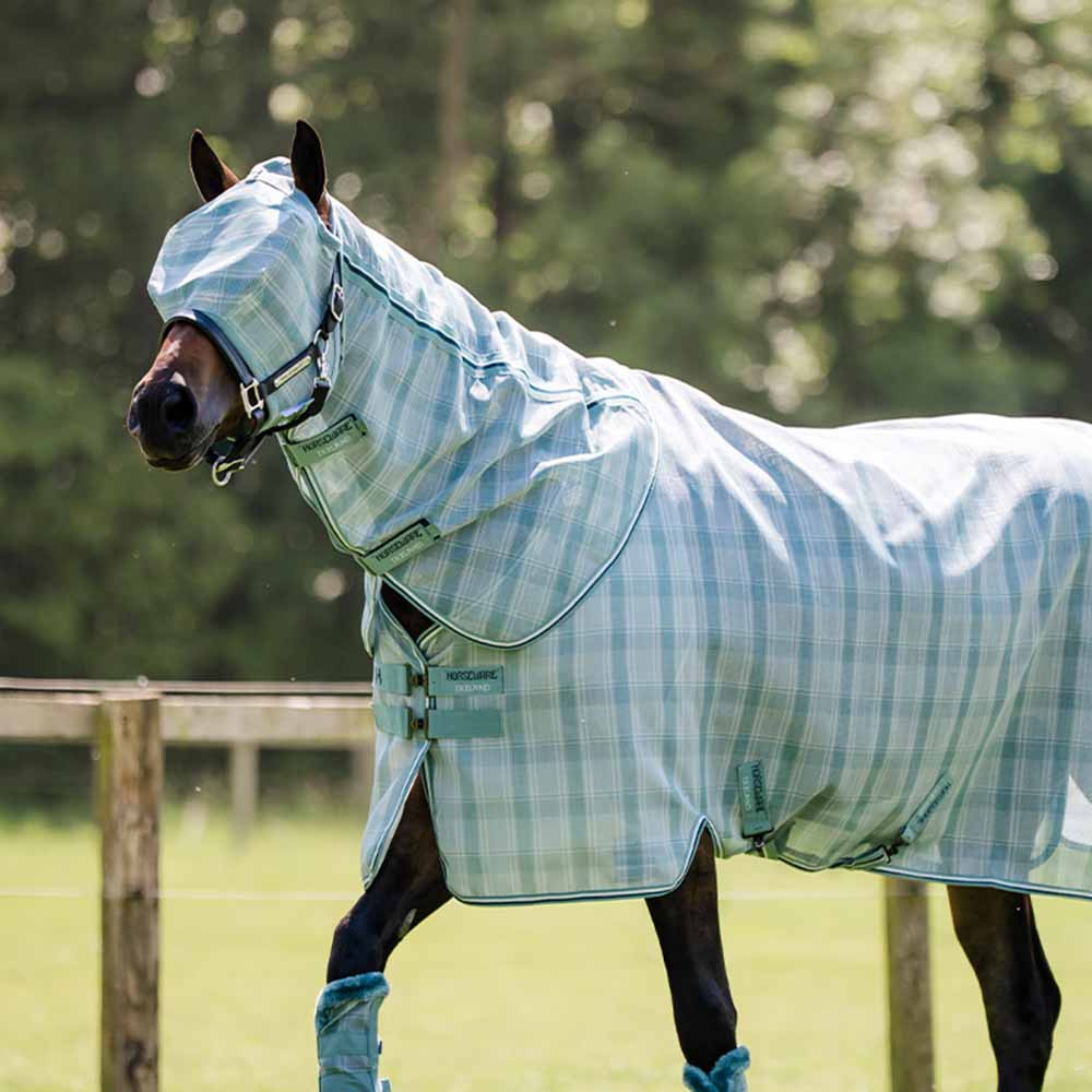 Fliegenhaube Newmarket No Ears Witney Dynasty