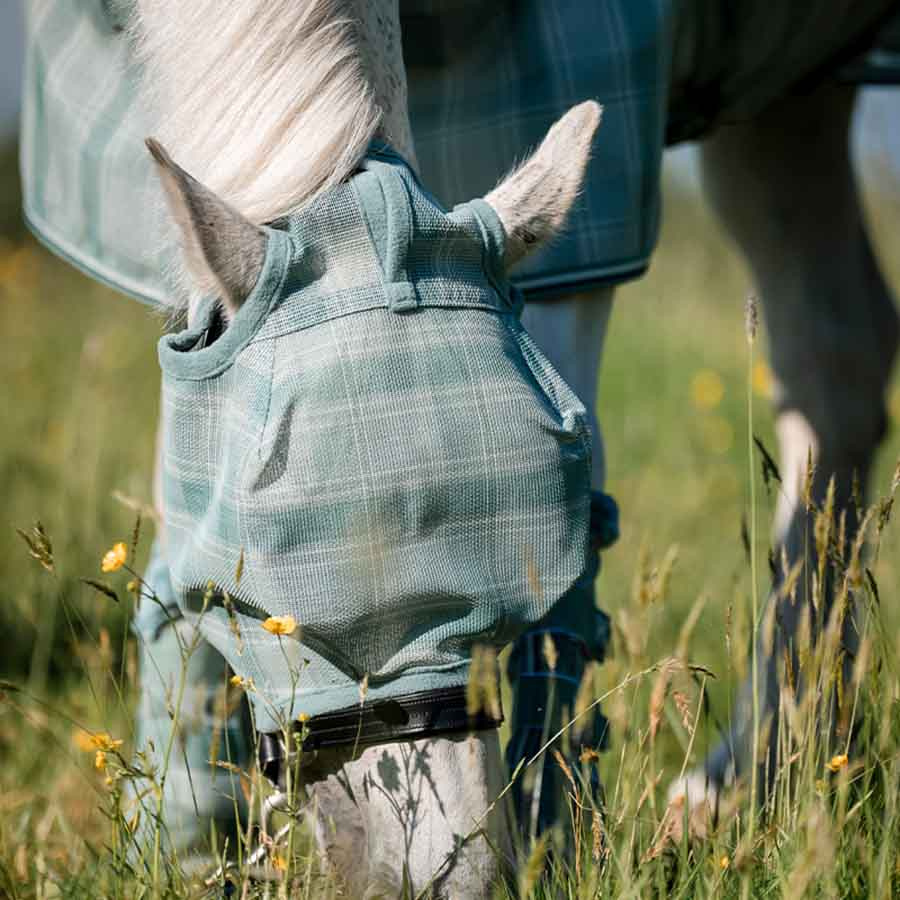 Fliegenhaube Newmarket No Ears Witney Dynasty