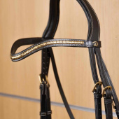 Stirnriemen V-Form Brass Clincher Dyon Collection Schwarz Stirnriemen V-Form Brass Clincher Dyon Collection Schwarz