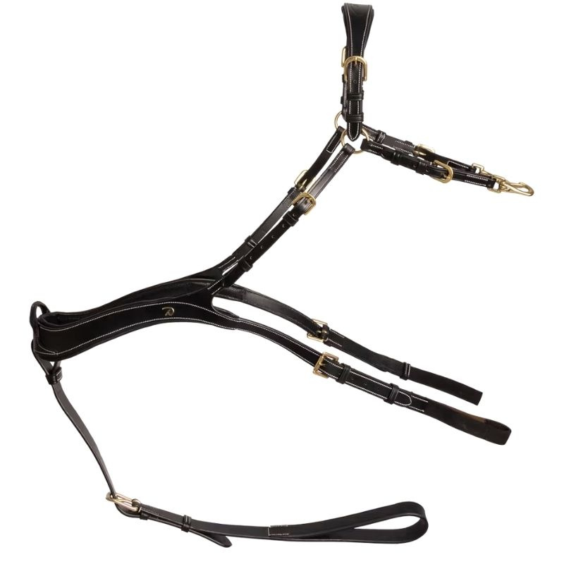 Vorderzeug Anatomical Dyon Collection Schwarz