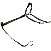 Vorderzeug mit Brücke Dyon Collection Schwarz Vorderzeug mit Brücke Dyon Collection Schwarz