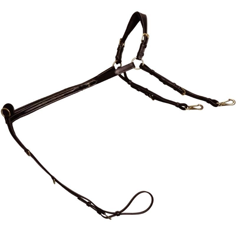 Vorderzeug mit Brücke Dyon Collection Braun