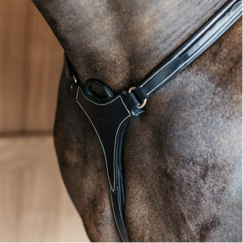 5-Punkt-Vorderzeug Elastic Dyon Collection Schwarz