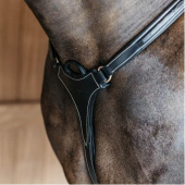 5-Punkt-Vorderzeug Elastic Dyon Collection Schwarz 5-Punkt-Vorderzeug Elastic Dyon Collection Schwarz