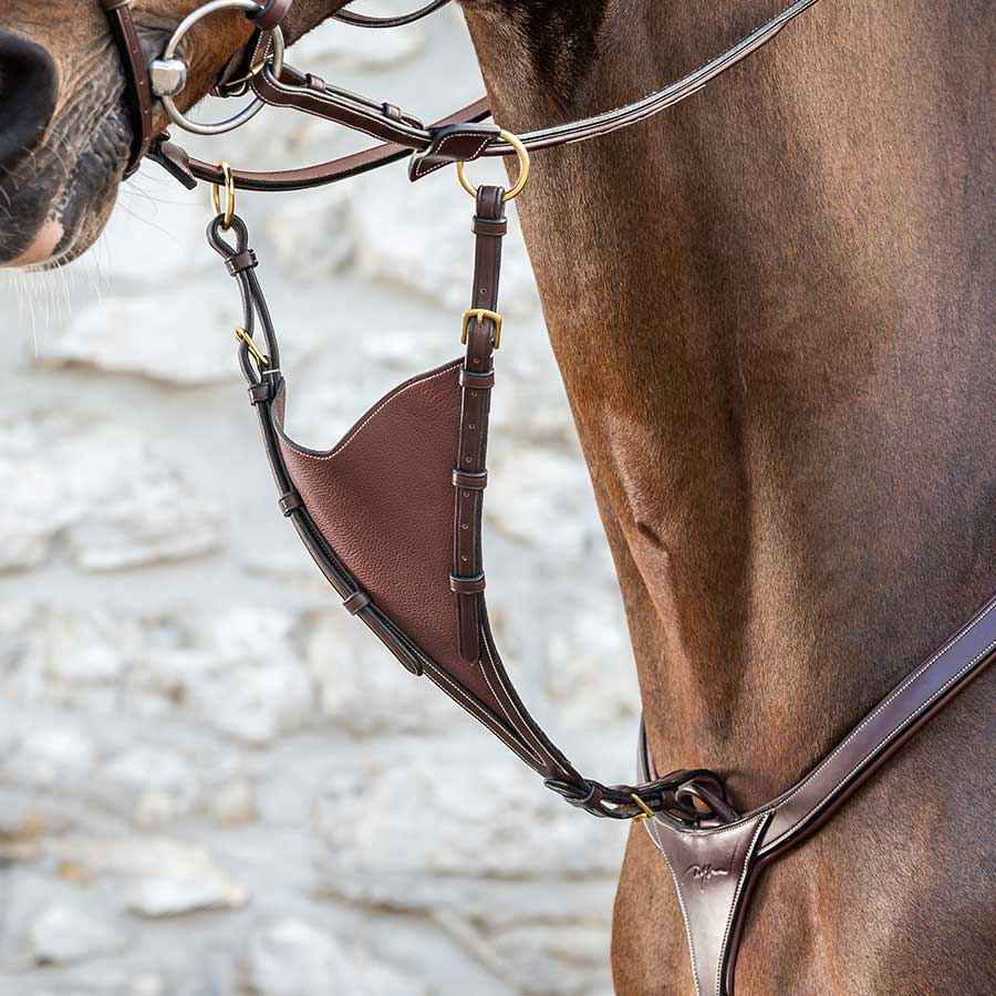 Kurze Martingal NE Schwarz Pony