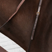 Martingal Soft Bib Dyon Collection Braun Martingal Soft Bib Dyon Collection Braun