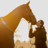 Pflegehalfter Artificial Leather Anatomic DC Braun Pflegehalfter Artificial Leather Anatomic DC Braun