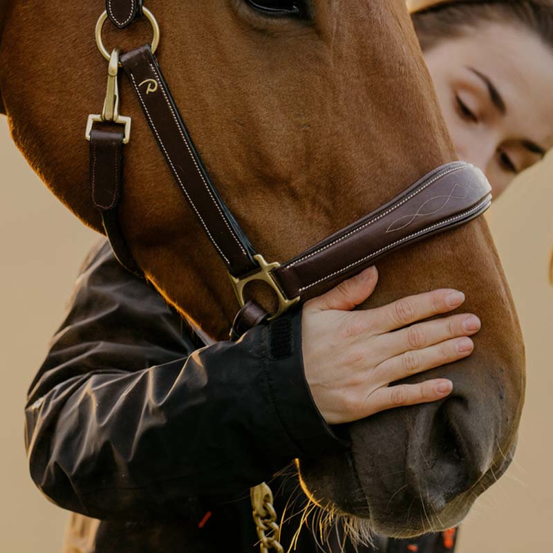 Pflegehalfter Artificial Leather Anatomic DC Braun