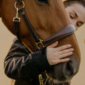 Pflegehalfter Artificial Leather Anatomic DC Braun Pflegehalfter Artificial Leather Anatomic DC Braun