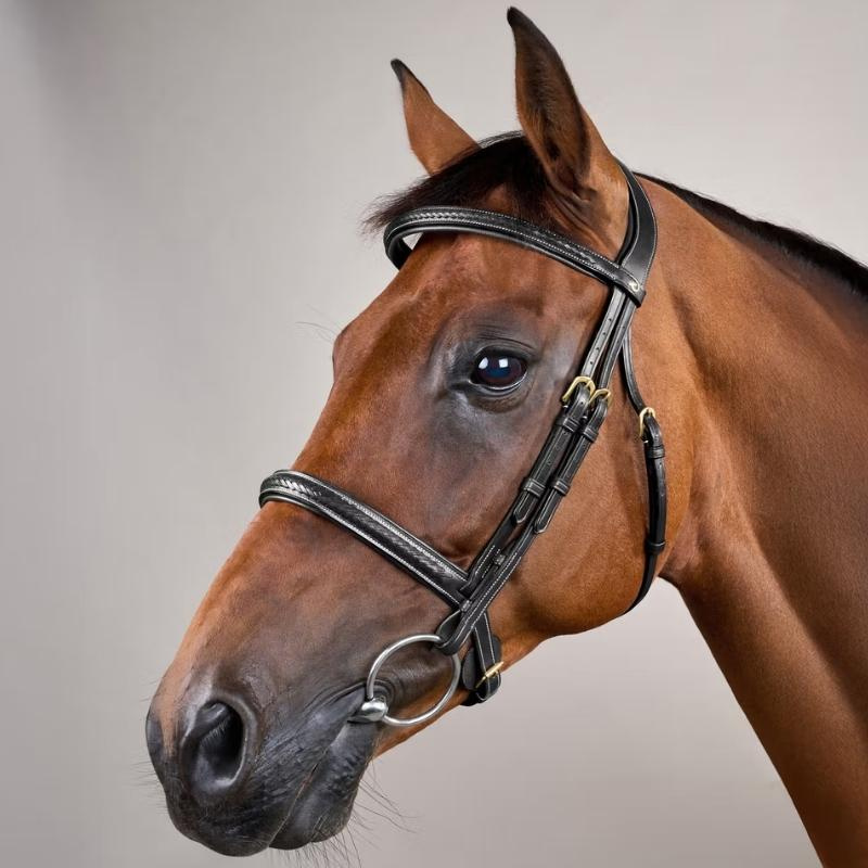 Trense ohne Sperrriemen Plaited Dyon Collection Schwarz