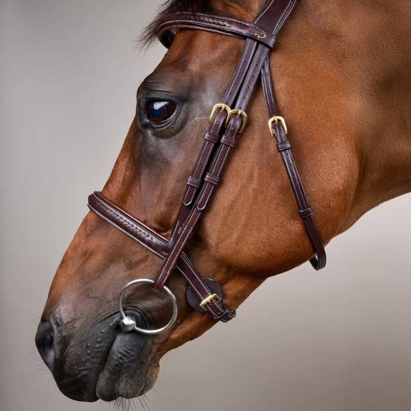 Trense ohne Sperrriemen Plaited Dyon Collection Braun