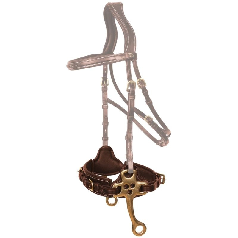 Hackamore Dyon Collection Braun