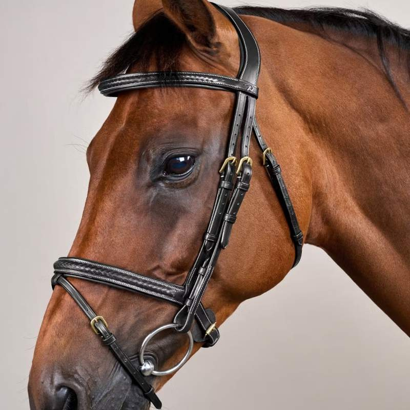 Trense mit kombiniertem Reithalfter Plaited Dyon Collection Schwarz
