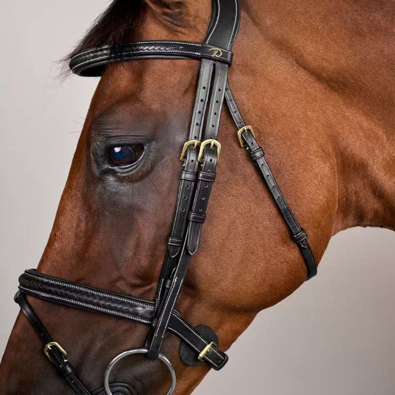 Trense mit kombiniertem Reithalfter Plaited Dyon Collection Schwarz