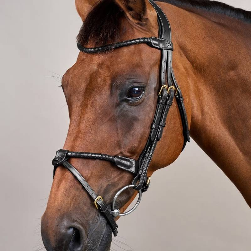 Trense mit kombiniertem Reithalfter Braided Dyon Collection Schwarz