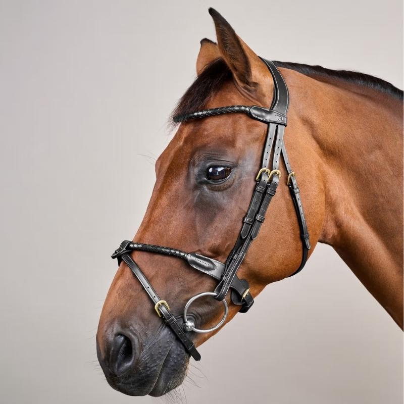Trense mit kombiniertem Reithalfter Braided Dyon Collection Schwarz