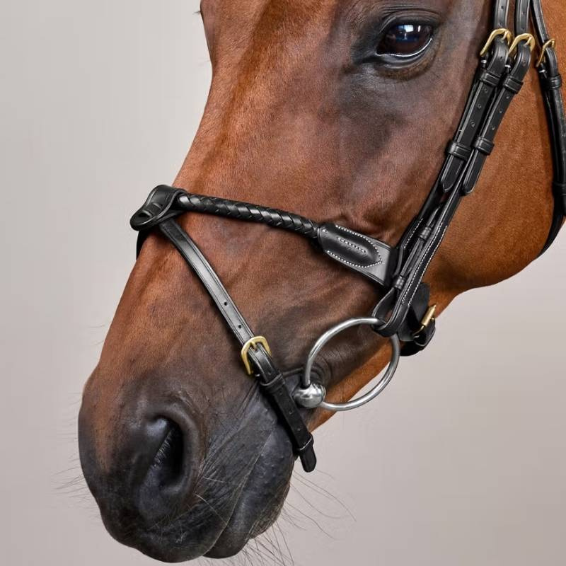 Trense mit kombiniertem Reithalfter Braided Dyon Collection Schwarz