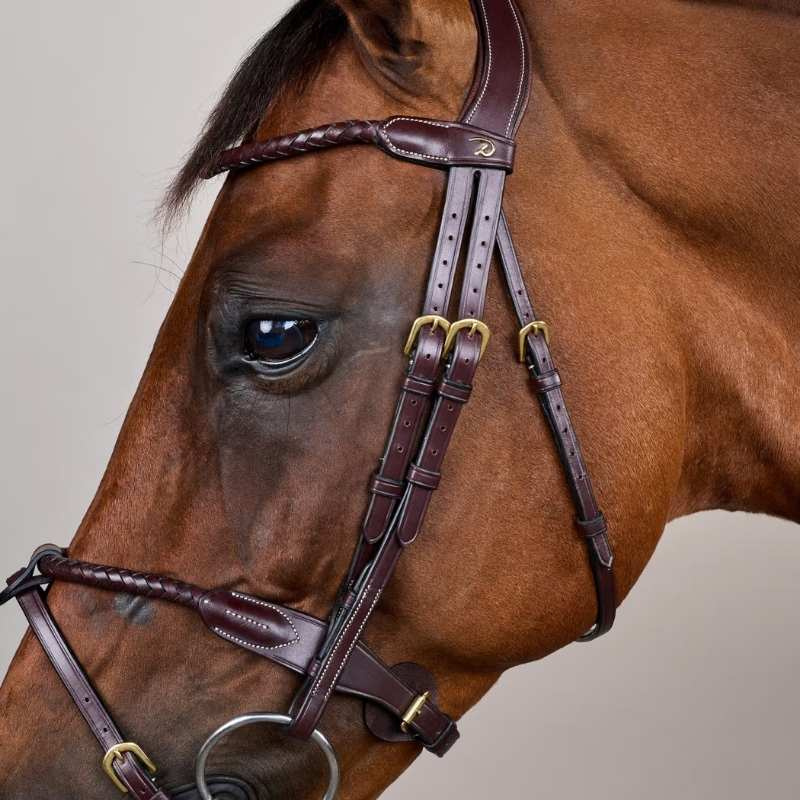 Trense mit kombiniertem Reithalfter Braided Dyon Collection Braun