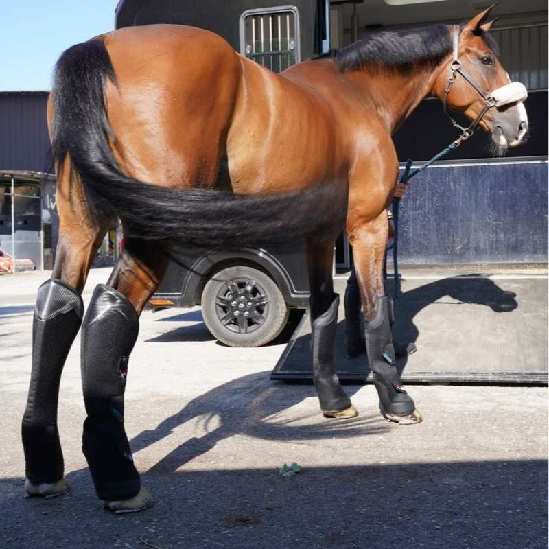 Transportgamaschen Pro-Safe Rear Schwarz
