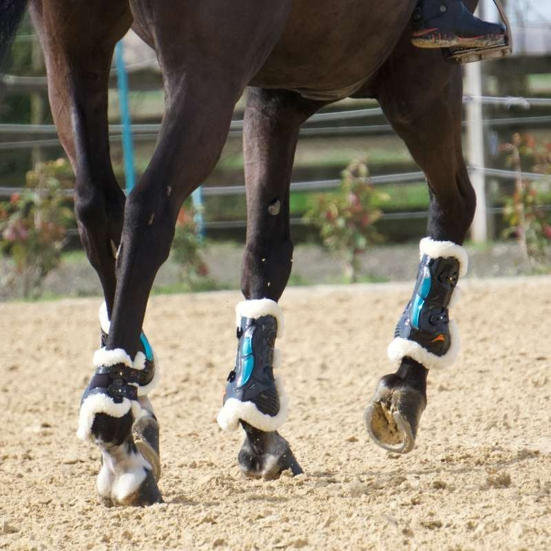Tendon Boots eAirshock Fluffy Schwarz