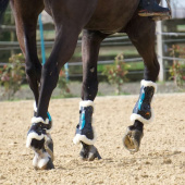 Tendon Boots eAirshock Fluffy Schwarz Tendon Boots eAirshock Fluffy Schwarz