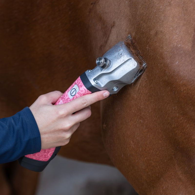 Schermaschine Bonum Pro 2 Batteries Rosa