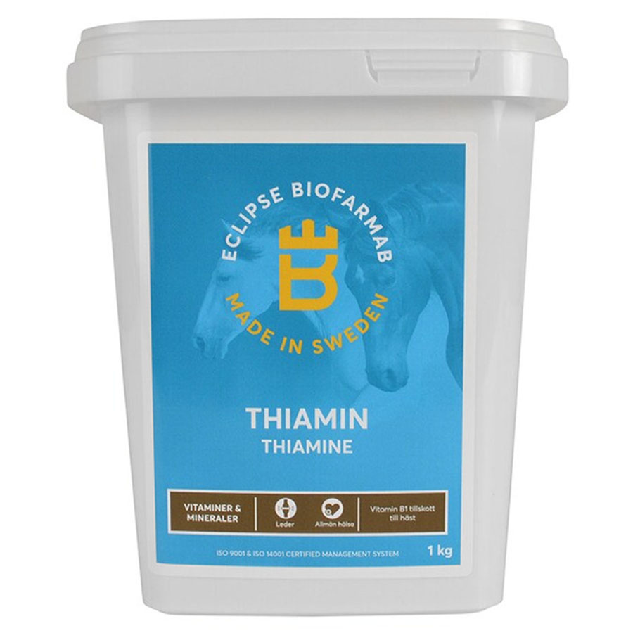 Thiamin 1kg