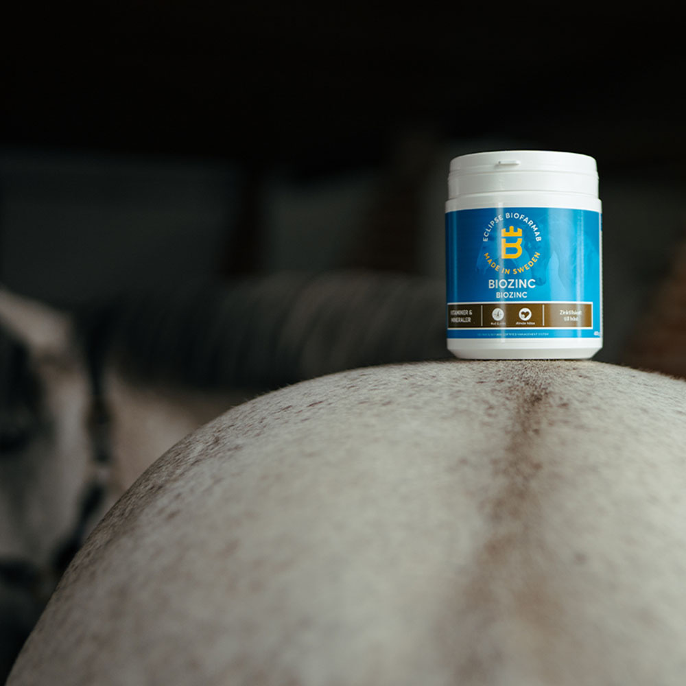 BioZinc 400g