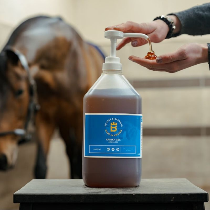 Arnika-Gel 2,7 l