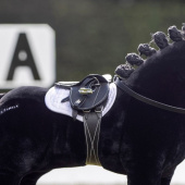Sattel Toy Pony Schwarz Sattel Toy Pony Schwarz