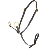 Martingal Toy Pony Braun Martingal Toy Pony Braun