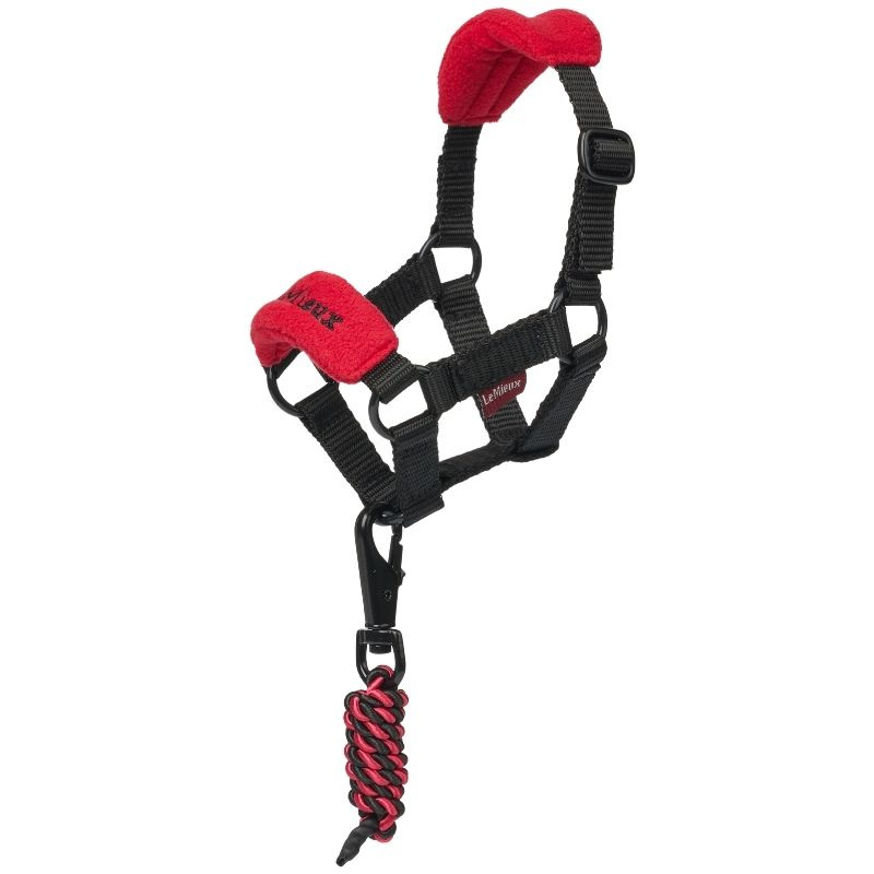 Halfter Toy Pony Vogue Rot