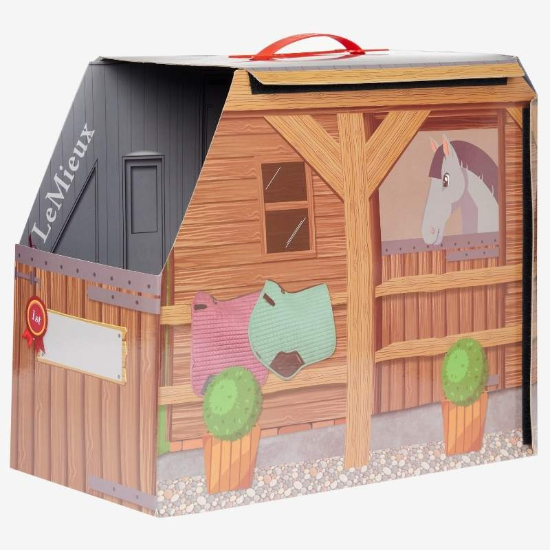 Carry Case Toy Pony Reversible 