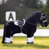 Schabracke Toy Pony Weiß Schabracke Toy Pony Weiß