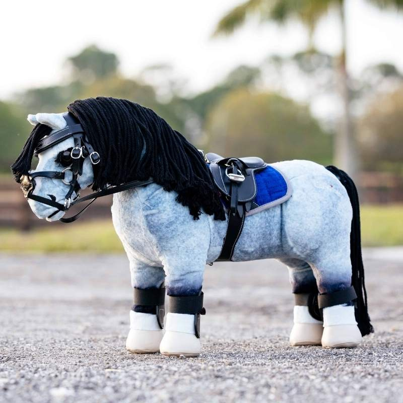 Beinschutz Toy Pony Capella 4-pack Schwarz