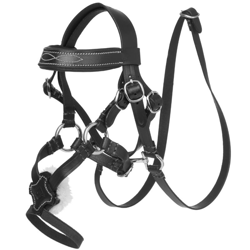 Trense Toy Pony Grackle Schwarz