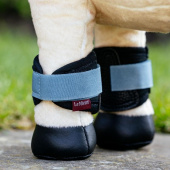 Arbeitsgamaschen Toy Pony Grafter Schwarz/Blau Arbeitsgamaschen Toy Pony Grafter Schwarz/Blau