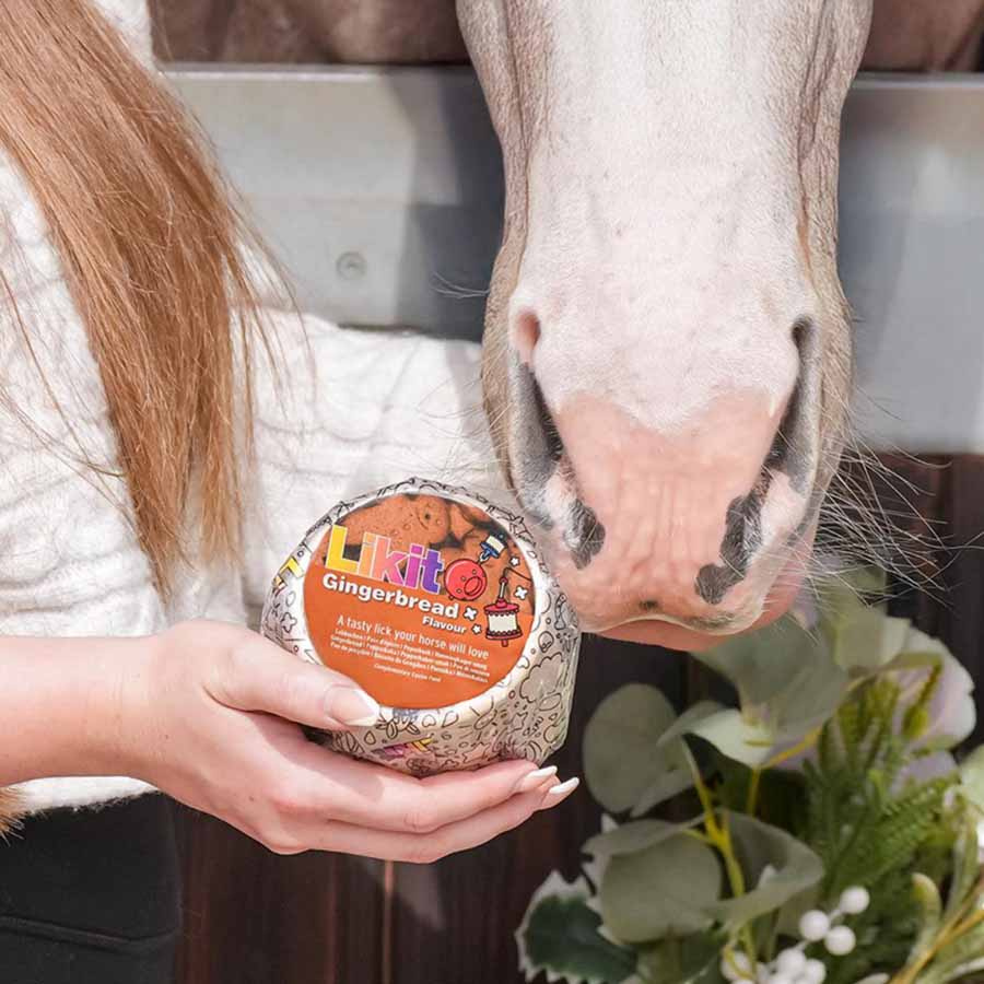 Leckstein Gingerbread Refill 650g