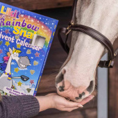 Adventskalender Pferdeleckerlis Rainbow Snaks 200g Adventskalender Pferdeleckerlis Rainbow Snaks 200g