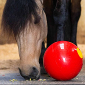 Leckerliball Snak-a-Ball Stufe 2 Rot Leckerliball Snak-a-Ball Stufe 2 Rot