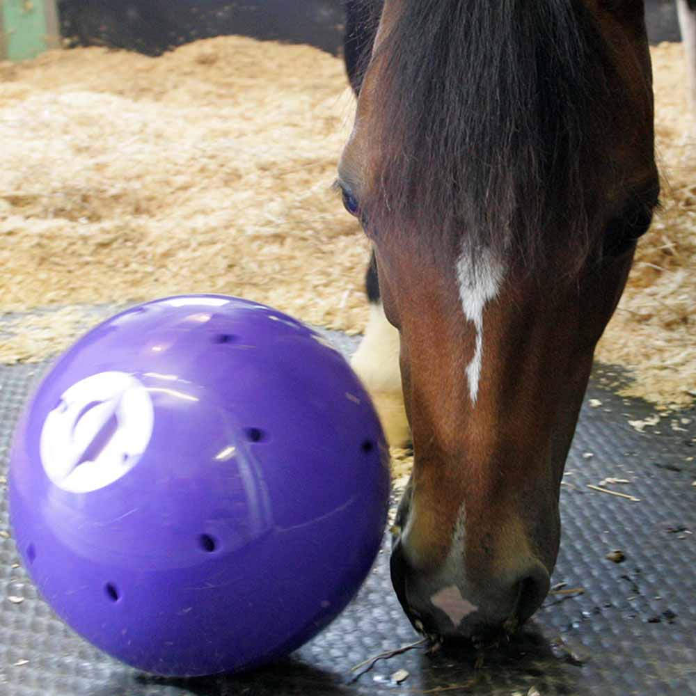 Leckerliball Snak-a-Ball Stufe 2 Lila