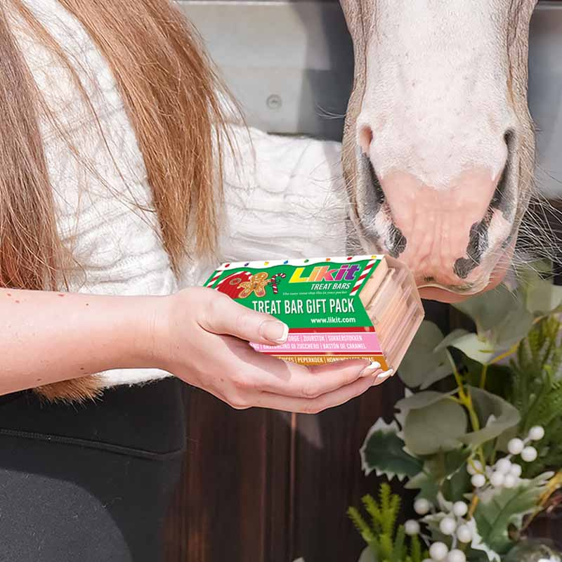 Pferdeleckerlis Treat Bars Gift Pack 4-pack 360g