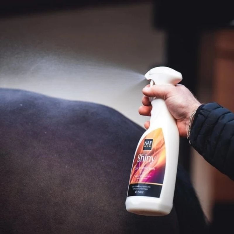 Fellglanzspray Shiny 750ml