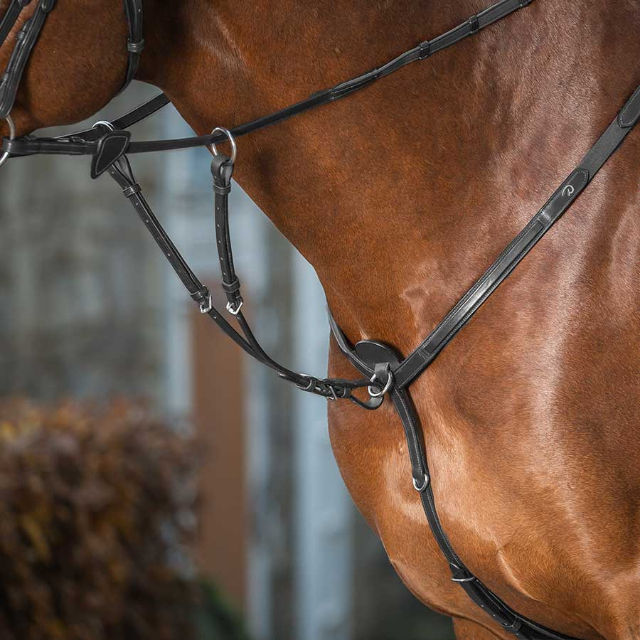 Kurze Martingal NE Braun Pony