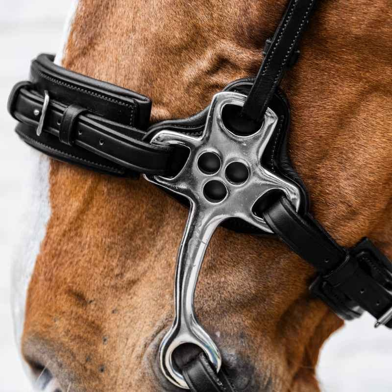 Hackamore New English Collection Schwarz