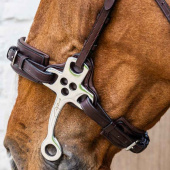 Hackamore New English Collection Braun Hackamore New English Collection Braun